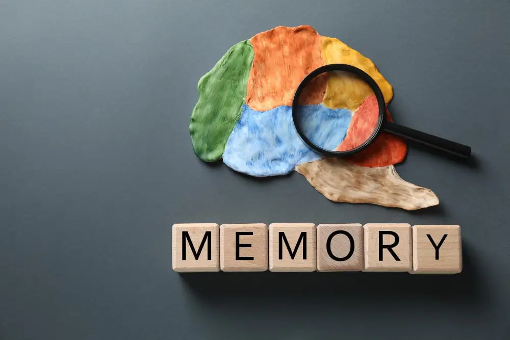 Understanding Memory Loss: Causes, Diagnosis, and Strategies for Maintaining Cognitive Function